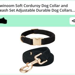Dog Collar And Leash 