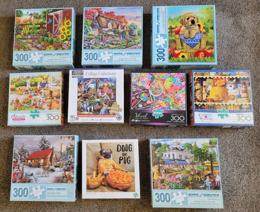 AT A BARGAIN PRICE! 10 TEN 300 Large Piece Jigsaw Name Brand Puzzles