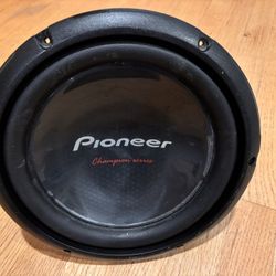 10” Subwoofer