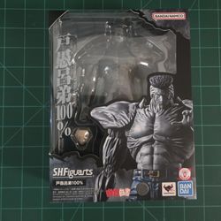 Sh figuarts Togoro from yuyu hakasho