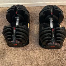 Bow flex select tech 1090 dumbbells