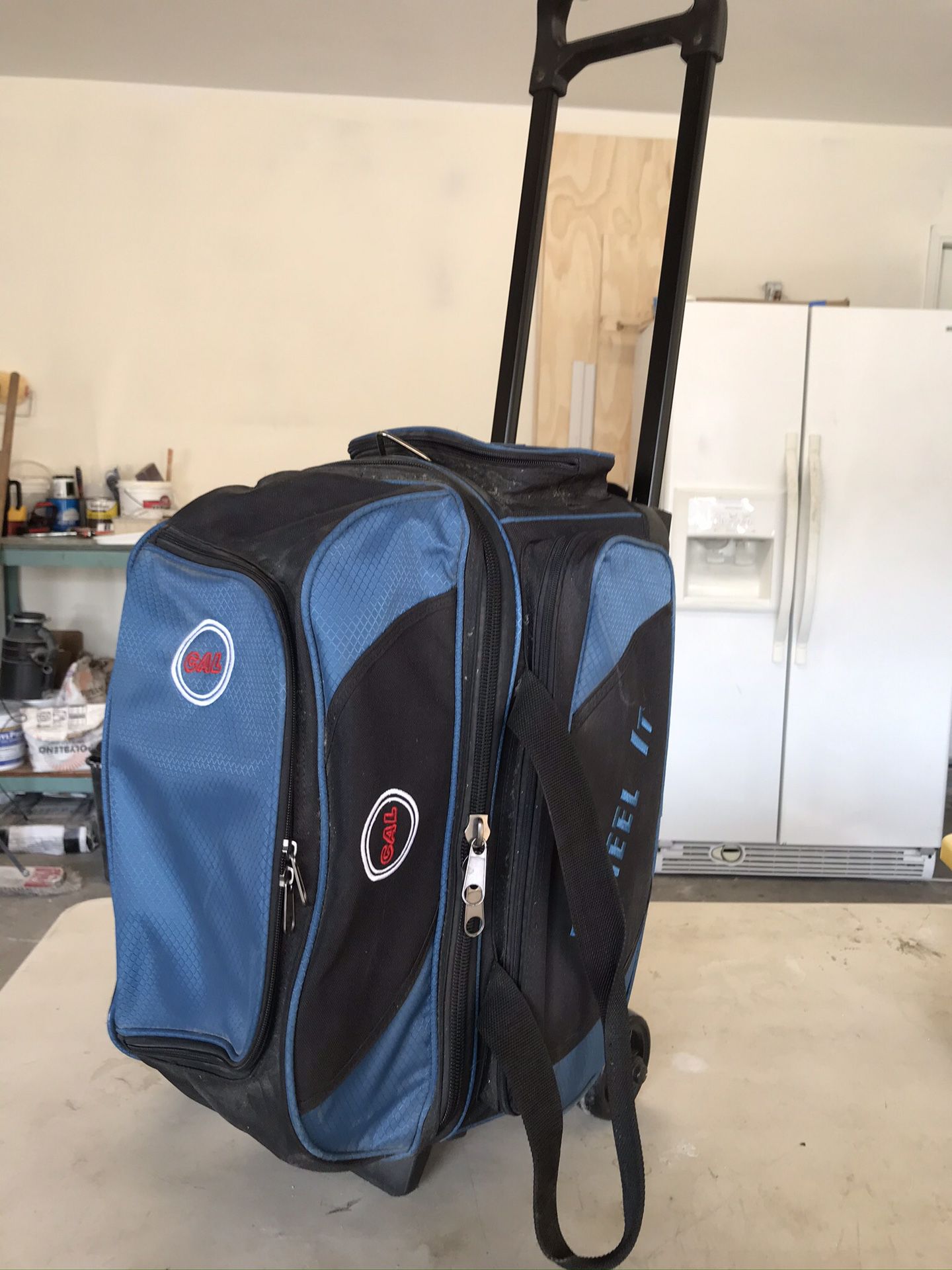 Two bowling balls in a double rolling bag