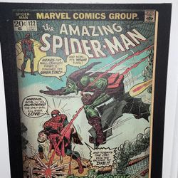 The Amazing Spider-Man Canvas Wall Art