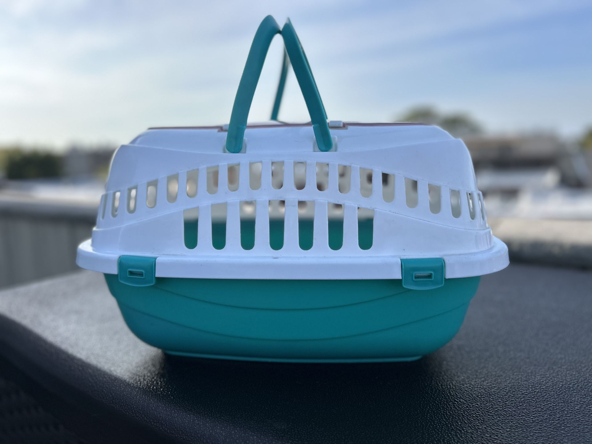 Small Animal Carrier