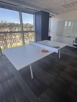 Ping Pong Table