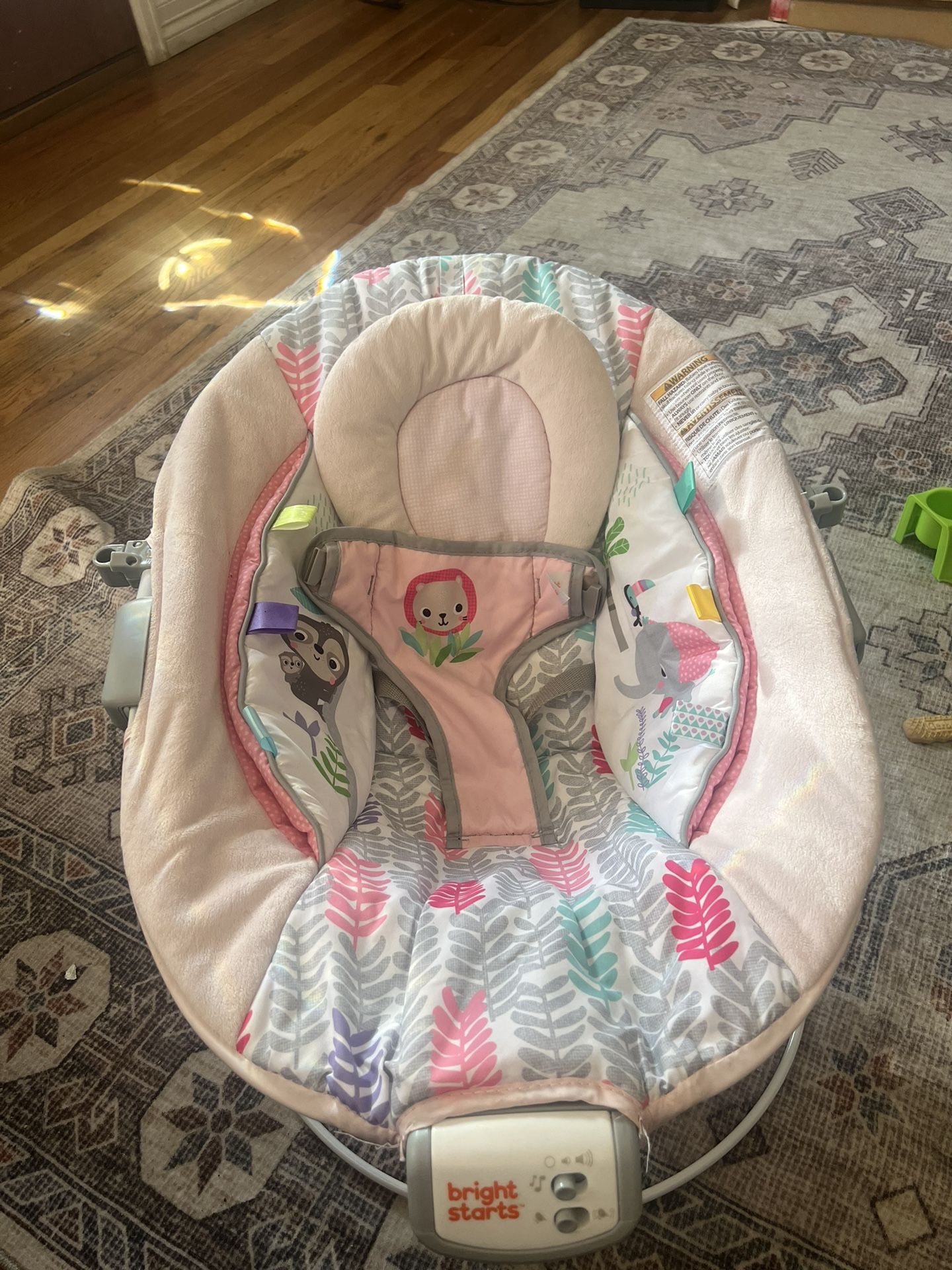Baby Bouncer