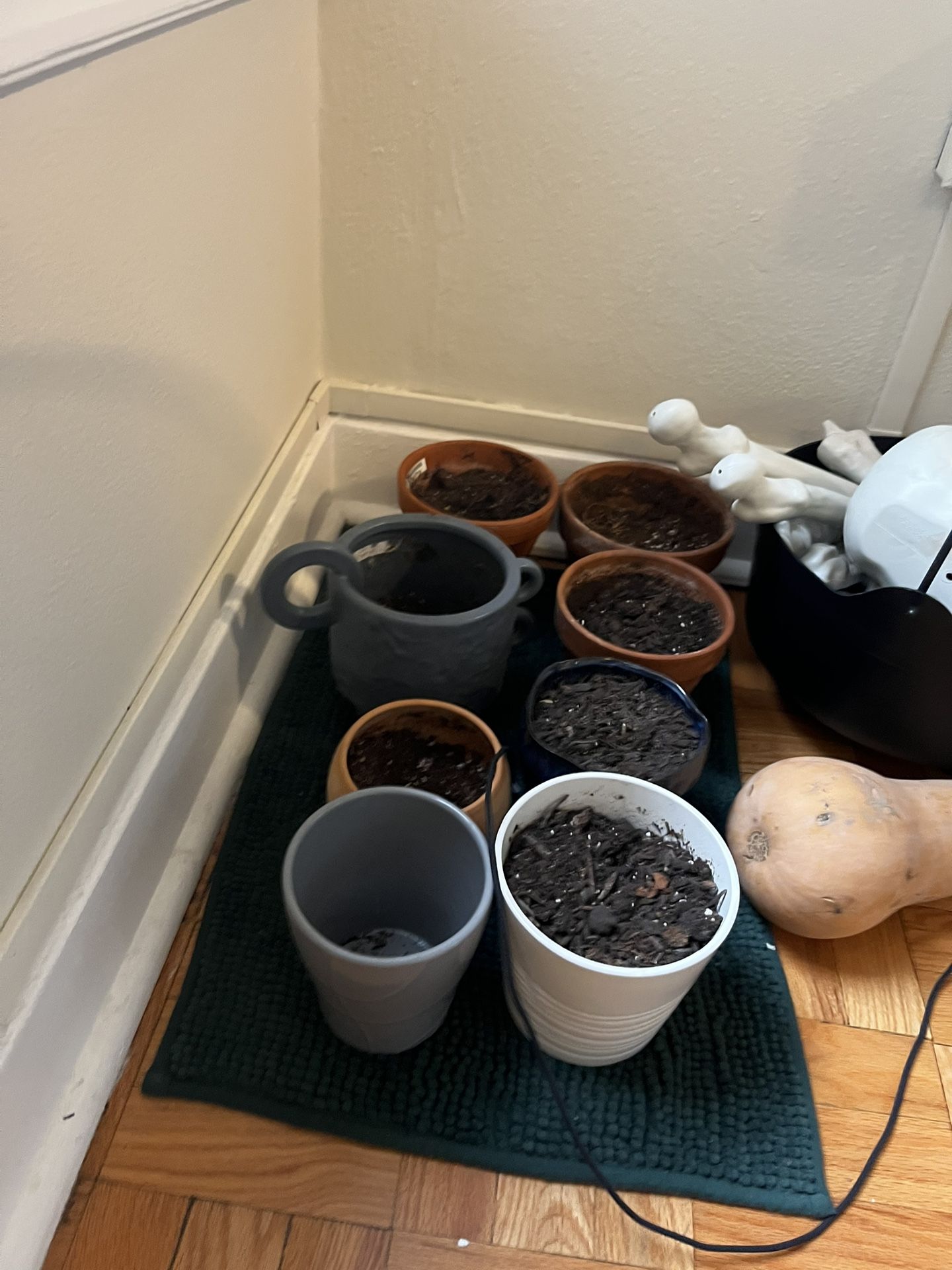 Plant Pots - Variety