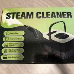 steam cleaner 