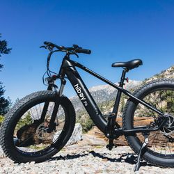 Hiboy P6 Fat Tire Electric Bike