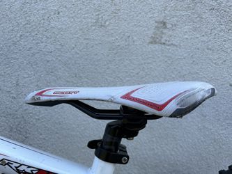Scott Spark Jr 24