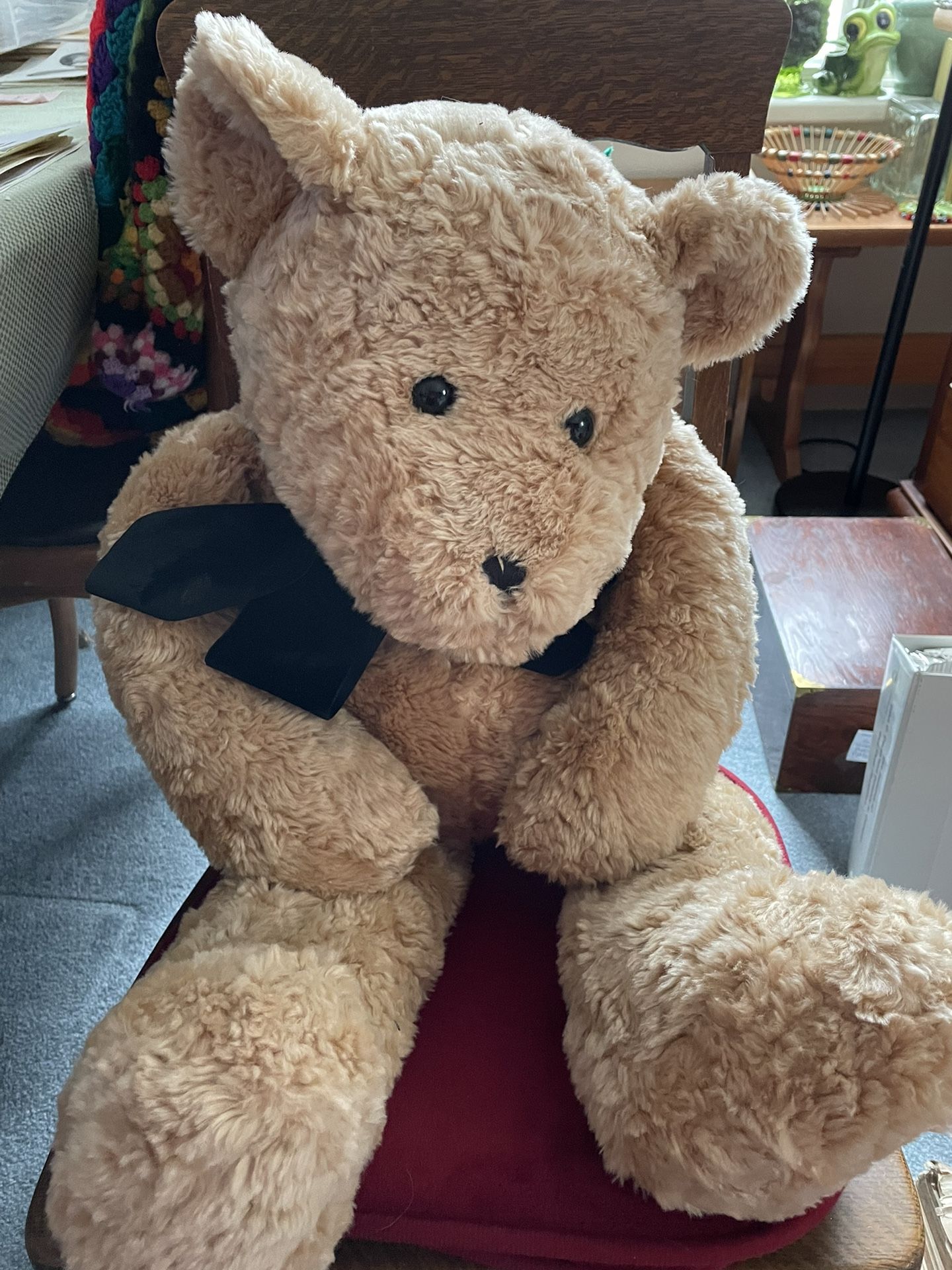 Teddy Bear