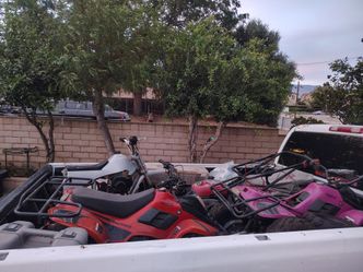 110 quads and pit bike