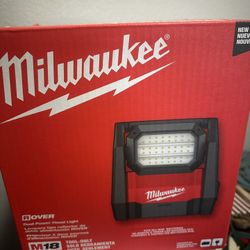 Dual Power Flood Light 