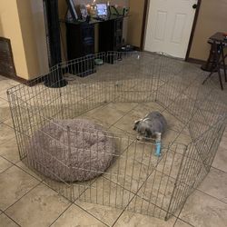 Dog Pen 