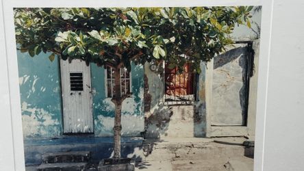 Framed Matted Tropical Home Yard Print 20" x 16"
