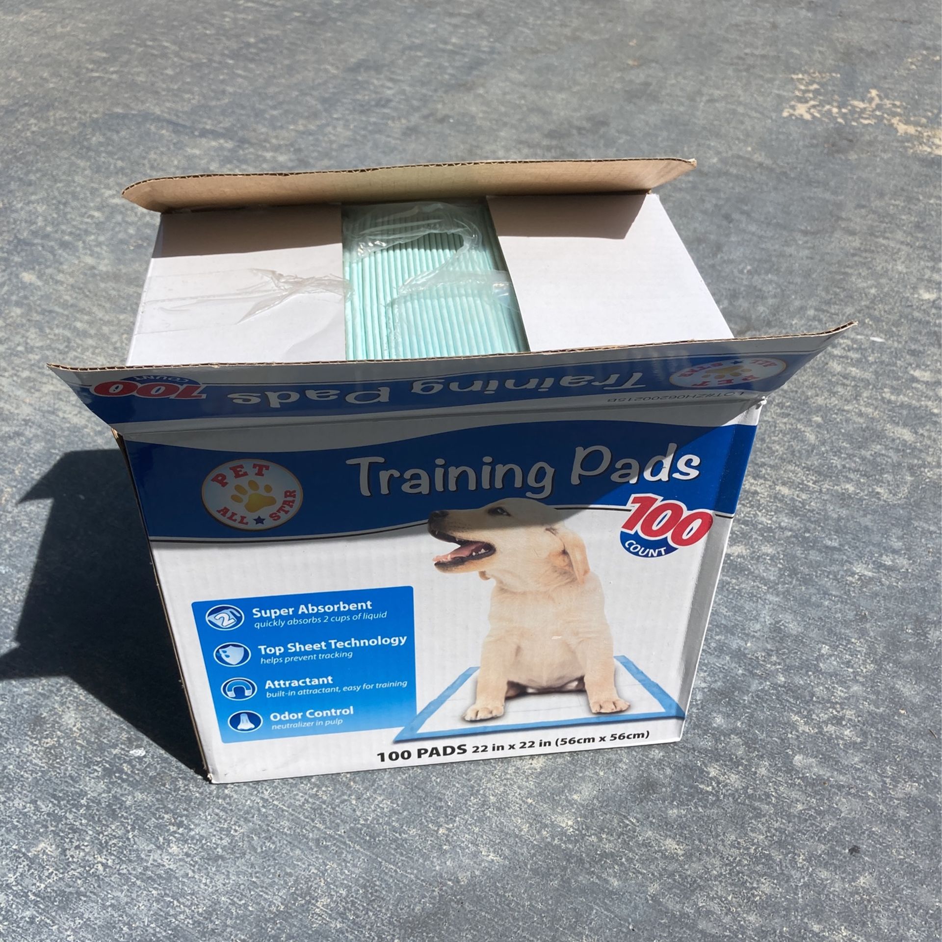 Dog Training Pads