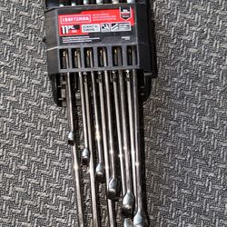 CRAFTSMAN Metric Gunmetal Chrome Long-Panel Wrench Set, 11 Piece