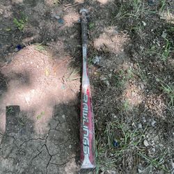 Bat