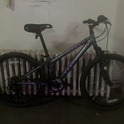 NISHIKI MOUNTAIN BIKE 24INCH 