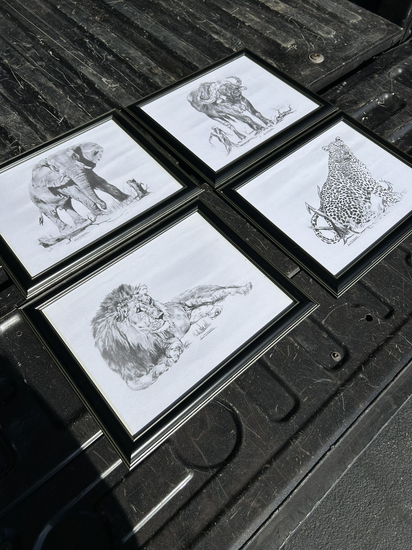 Pencil drawings