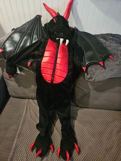 Dragon Halloween Costume