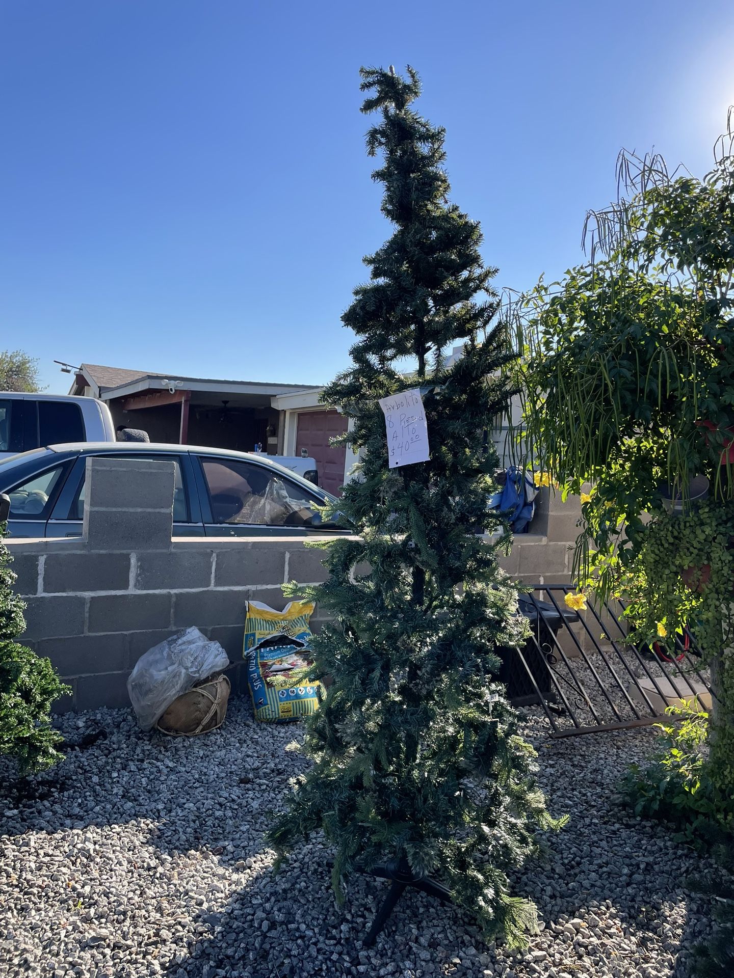 Arbolito 8 Pies De Alto 40 Dólares