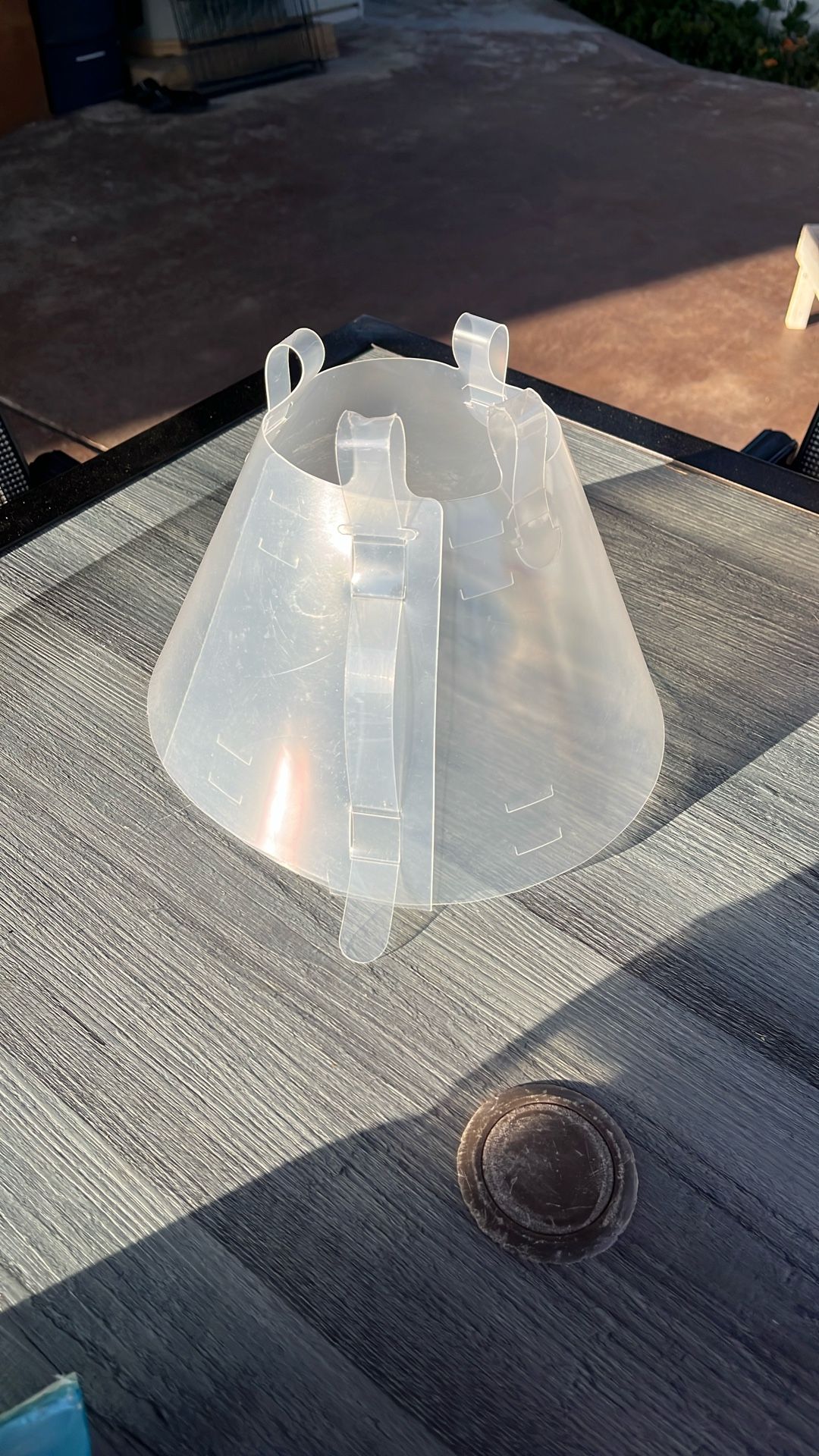 FREE Dog Cone Collar