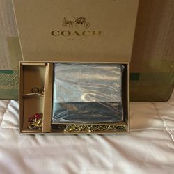 coach mini purse