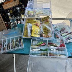 All types of rock, cod, fishing equipment, rods, reels, hooks, lures, weights, etc.