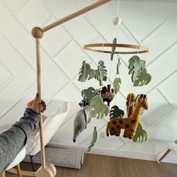Crib Mobile And Holder 