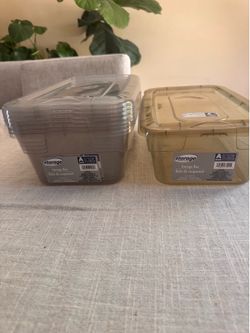 Set of 5 Storage Essentials 5.2 qt Storage Boxes