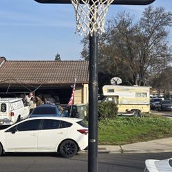 Basketball Hoop