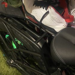 E Bike Damson Model