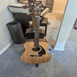 Rock Out with Bright Hybrid Acoustic-Electric Guitars! article board