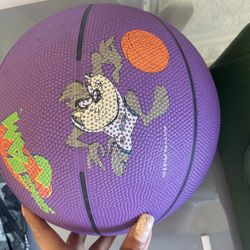 Space Jam Taz Spalding Basketball