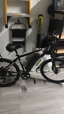 Electric bike