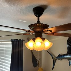 Bedroom Ceiling Fan
