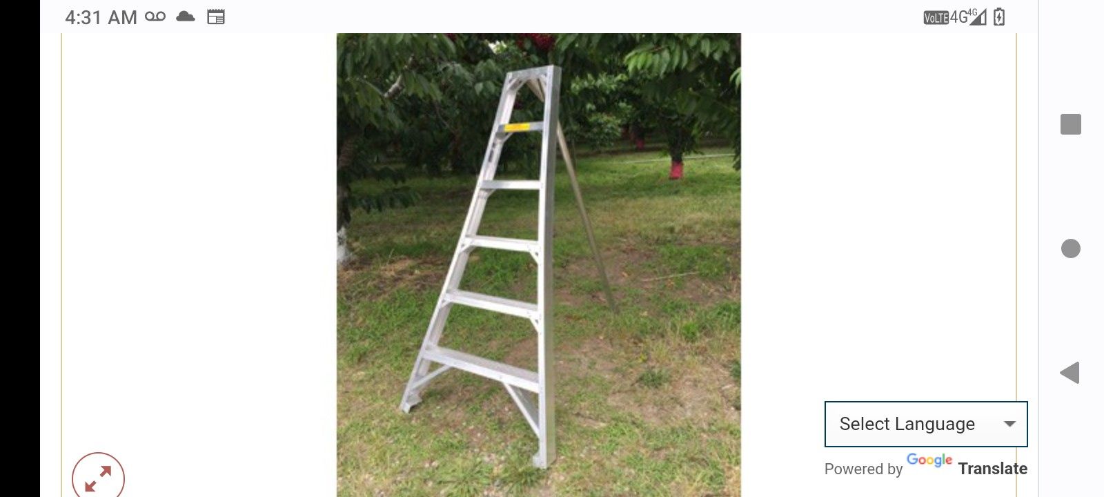 Orchard Ladder