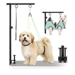 3-in-1 Dog Grooming Arm 