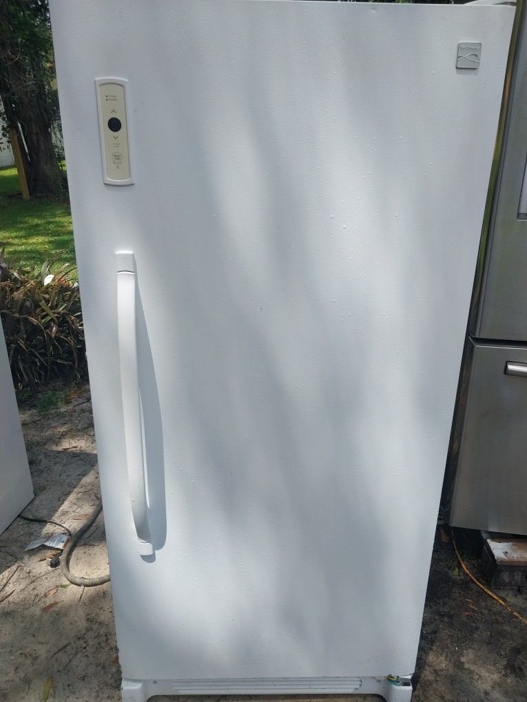 15 Cubic Frost Free Freezer