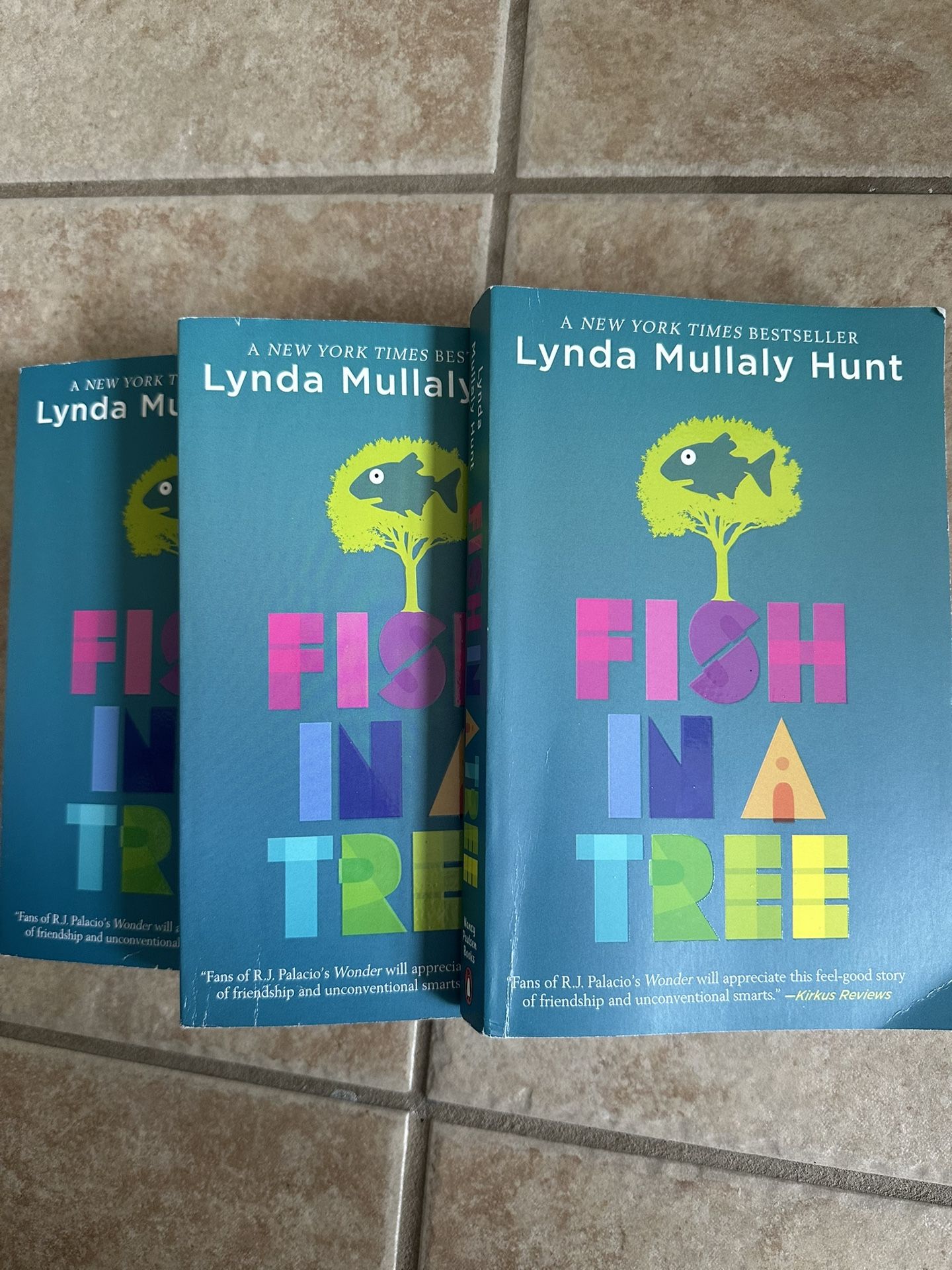 Fish In A Tree By Lynda Mullaly Hunt