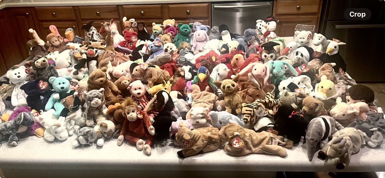 TY Beanie baby Collection