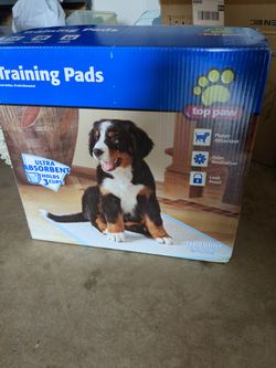 Dog Training Pads