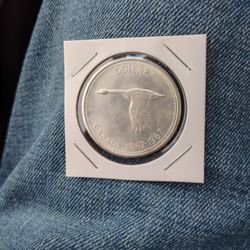 Silver Coin