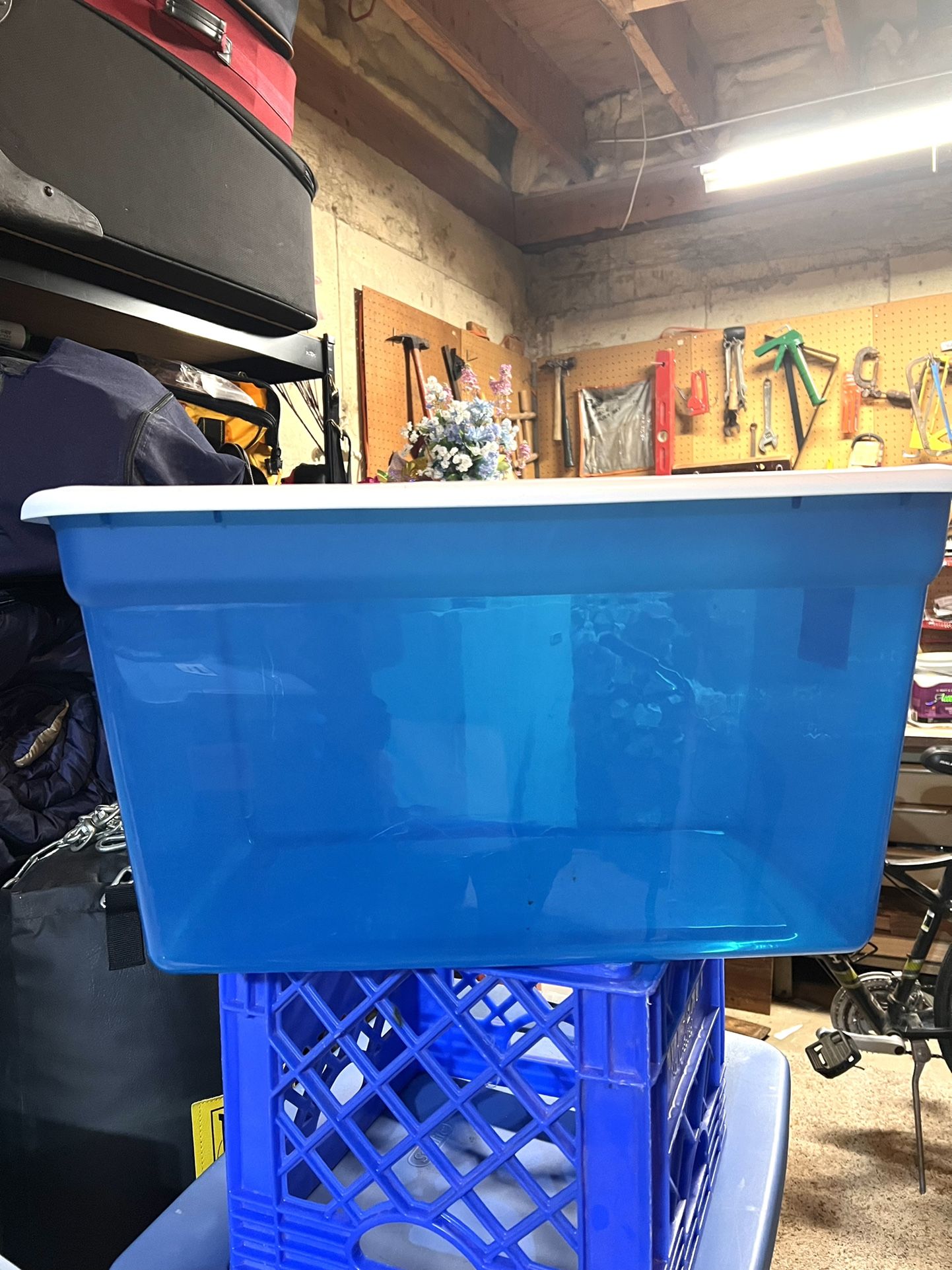 Blue Plastic Sterilite Bin. 58 Quart. See pictures for measurements.