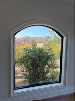 Window