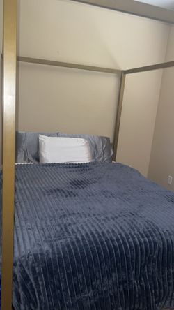 Queen Bed with Gold Metal Canopy