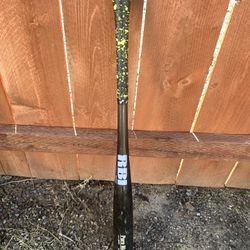 31" Maple Baseball Bat