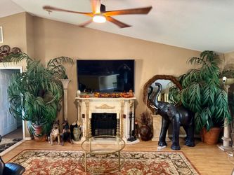 HUGE Silk Palm Trees in Terracotta Clay Pots