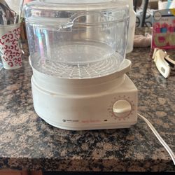 Black & Decker Handy Steamer 